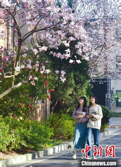 春日的华东理工大学校园。华东理工大学供图